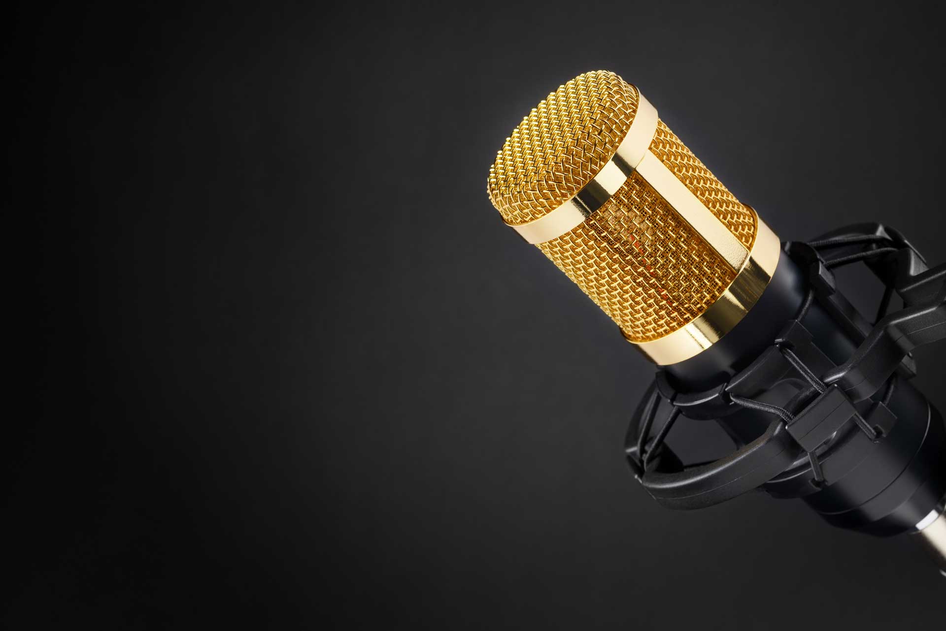 Voiceover recording microphone